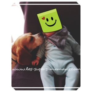rencontre chien-bébé