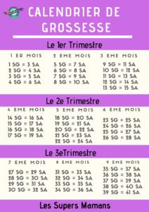 Calendrier De Grossesse : L'Essentiel En 1 Clic | Les Supers Mamans